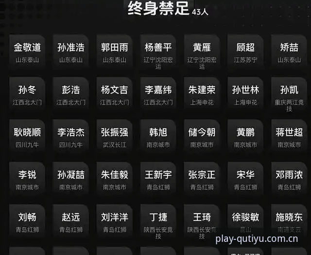 趣体育安装常见问题 足球圈禁足名单深度解析教程——如何通过趣体育平台透视行业变革